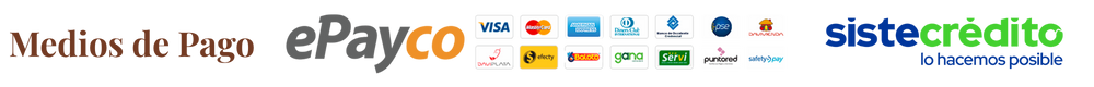 medios de pago